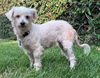 Millie