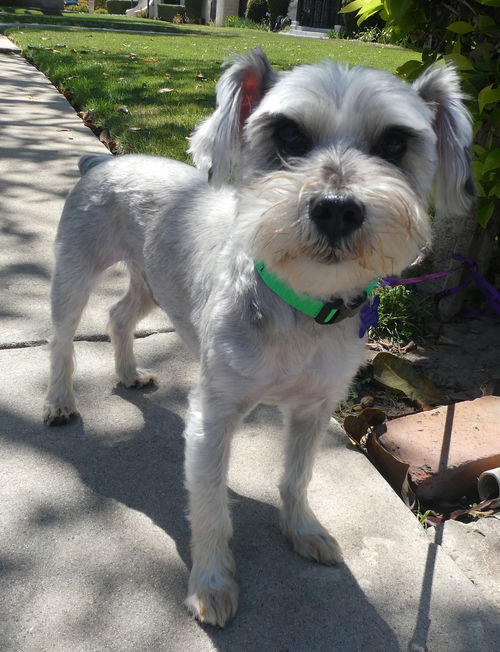 Baxter
