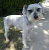 Baxter