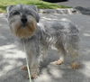 Baxter