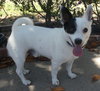 Bugsy