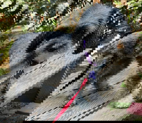 Karla