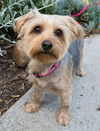 Roxy