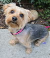 Roxy