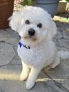 Betty