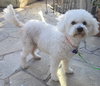 Betty