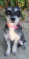 Lola
