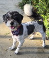 Sammie