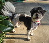 Sammie