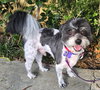 Sammie