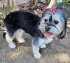 Betty