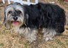 Betty