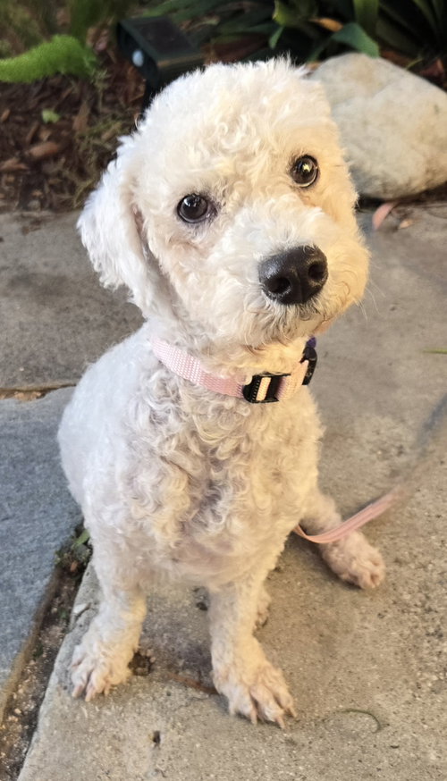 Maddie