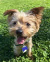 Charlie
