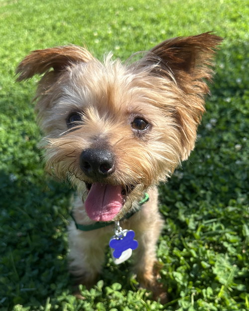 Charlie