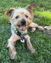 Charlie