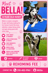 Bella - Courtesy Post