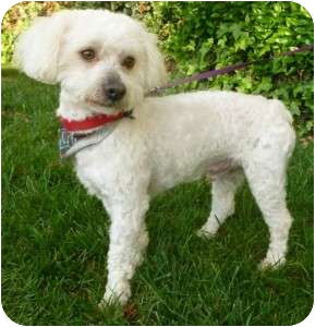 Corky