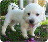 Murphy