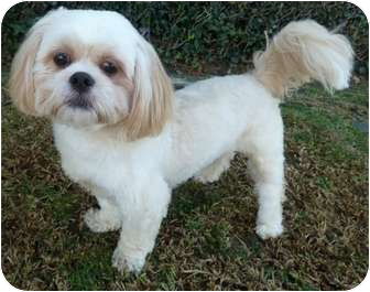 Romeo