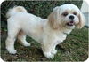 Romeo