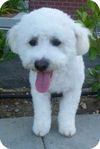 Stanley