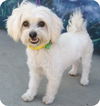 Wilma