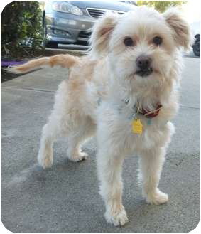 Wilma