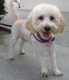 Charlie