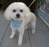 Trudy