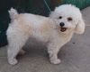 Trudy