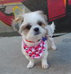 Cece