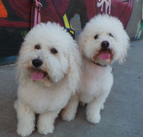 Russell & Farley