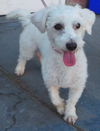 Lucy
