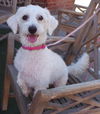Lucy