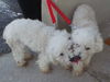Lulu and Janey