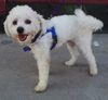 Benson