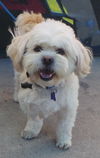 Tucker