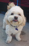 Tucker