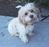 Betsy