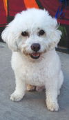 Charlie