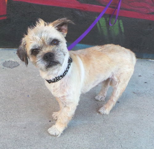 Rupert