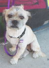 Rupert