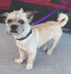 Rupert