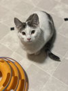 Auger - Photo 18