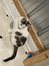 Auger - Photo 19