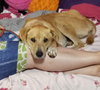 Peach - Photo 6