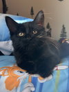Marlo - Photo 5