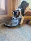 Judy - Photo 8