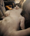 Judy - Photo 4